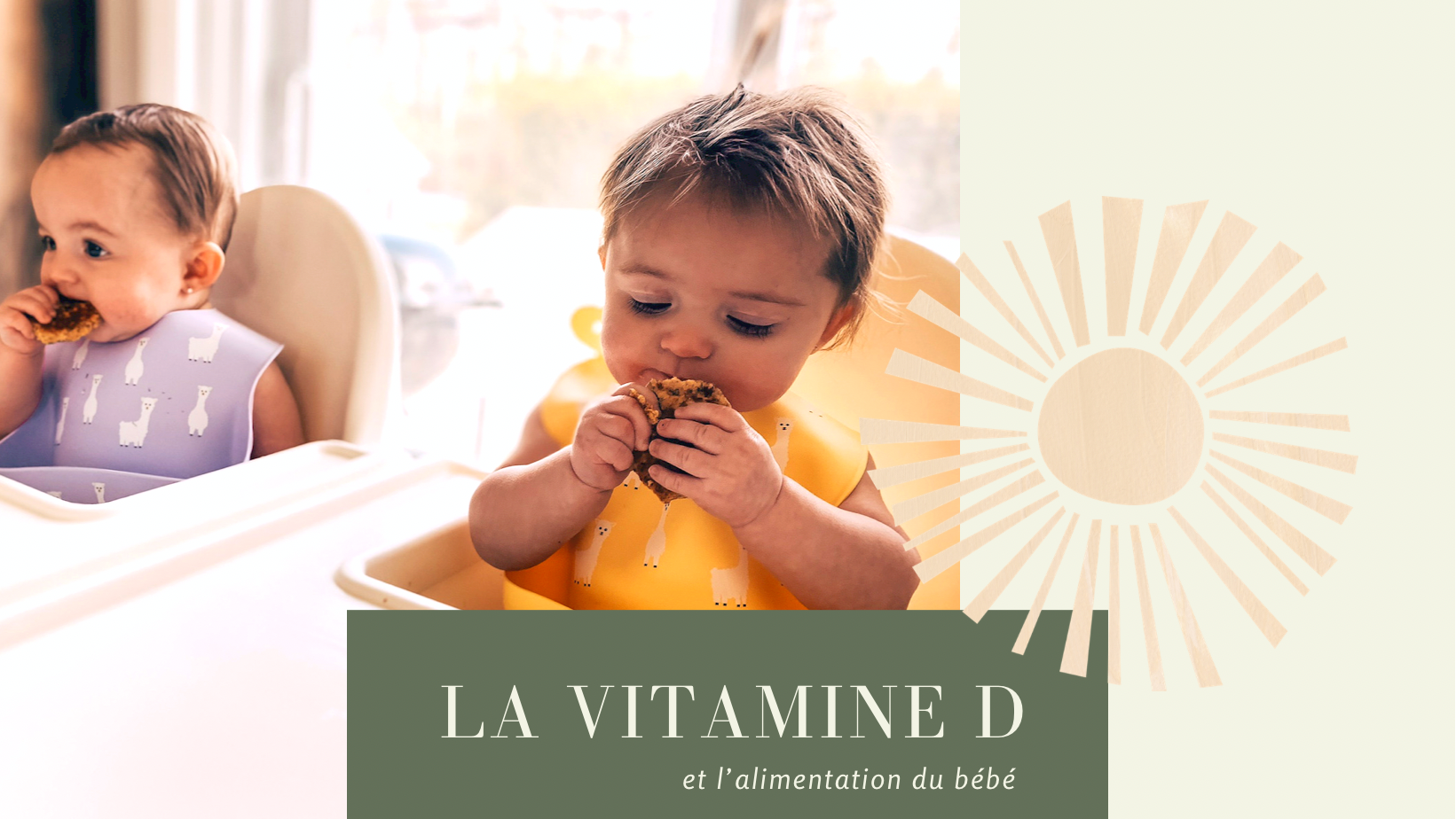 La Vitamine D – Bébé mange seul